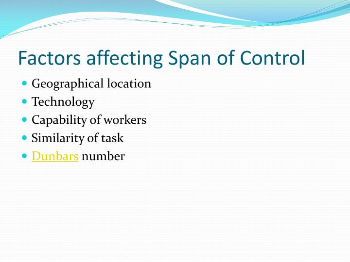 factors of span of control