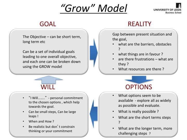 ppt goal setting workshop powerpoint presentation id team leader objectives examples