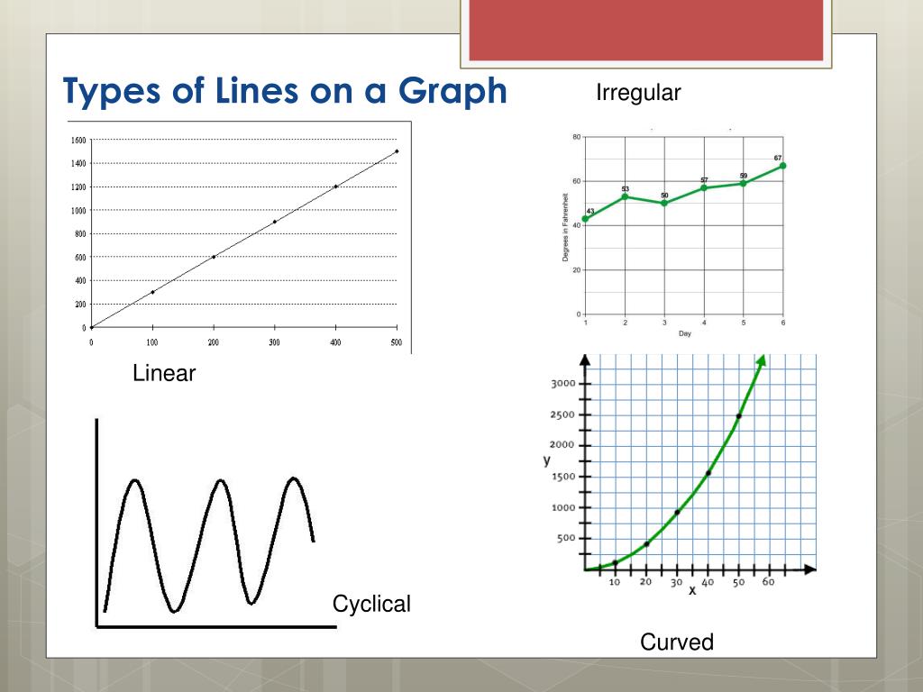 Types Of Curved Graphs