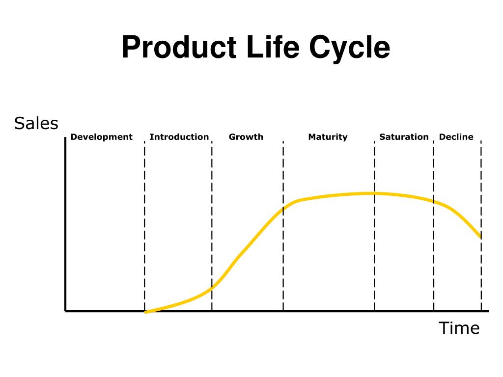 Stages Of The Life Cycle