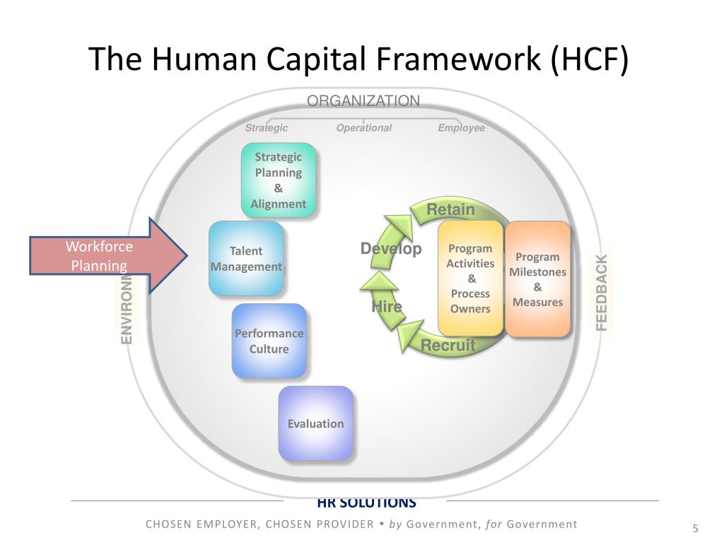 companies investing in human capital