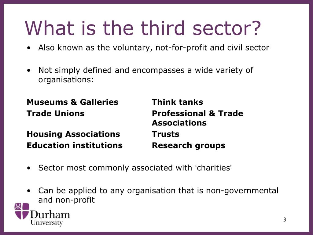 third sector business plan