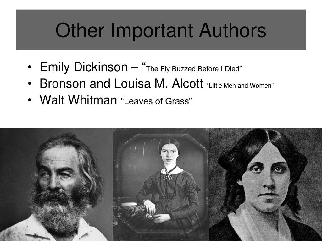 PPT - Moral Reform Movements of the 19 th Century PowerPoint ...