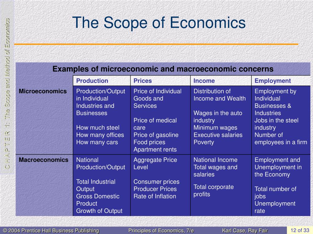 scope of economics research paper
