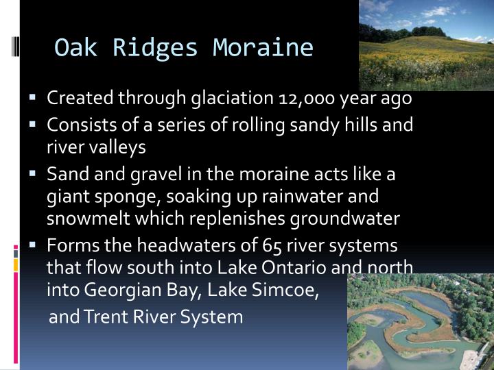 the oak ridges moraine Oak ridges moraine conservation plan the oak ridges moraine conservation plan is set out in o reg 140/02 under the oak ridges moraine conservation act, 2001. the oak ridges moraine Oak ridges moraine conservation plan the oak ridges moraine conservation plan is set out in o reg 140/02 under the oak ridges moraine conservation act, 2001.