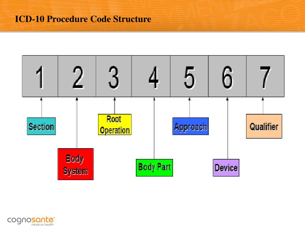 presentation icd 10 codes