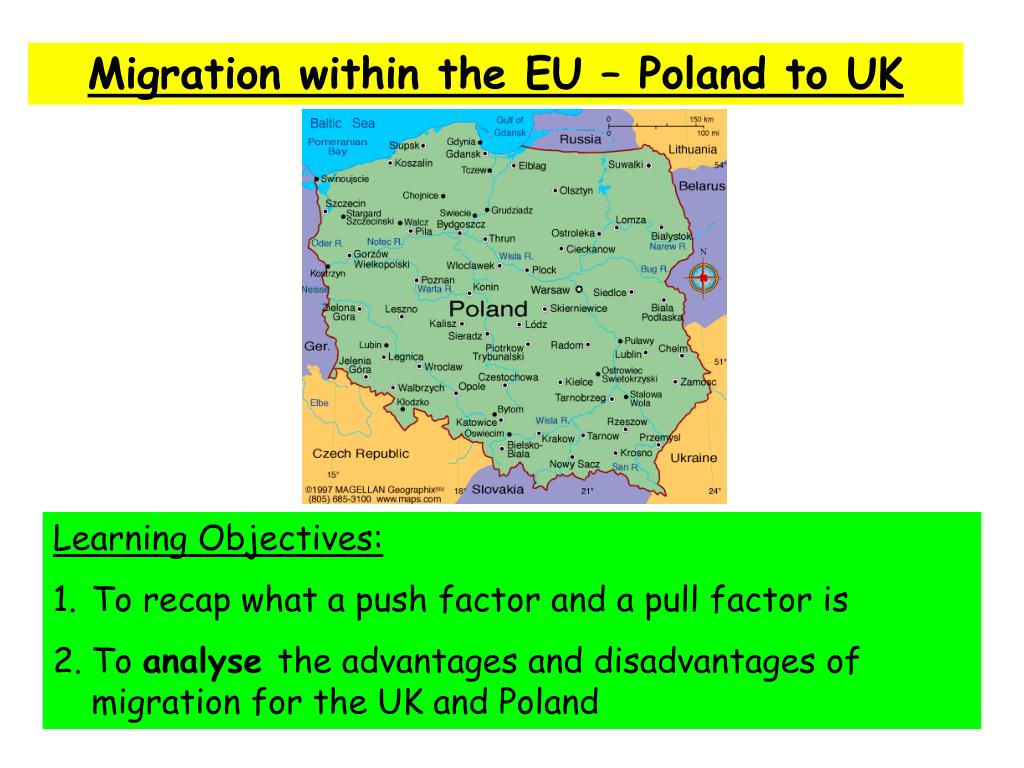 PPT Migration within the EU Poland to UK PowerPoint Presentation