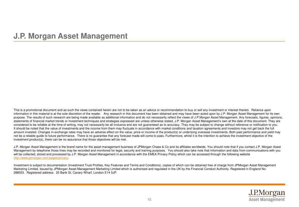 PPT Mid Cap Investment Trust plc Annual General Meeting