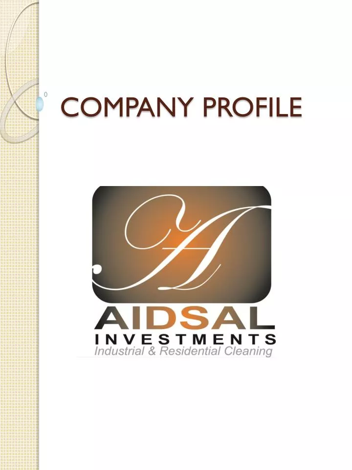 company profile n.