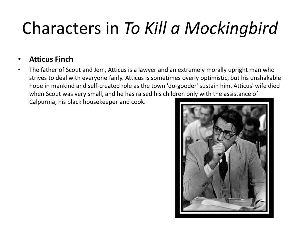 to kill a mockingbird characters descriptions to kill a mockingbird characters descriptions