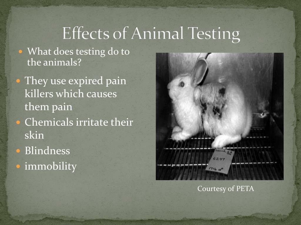 ppt-stop-animal-testing-powerpoint-presentation-free-download-id