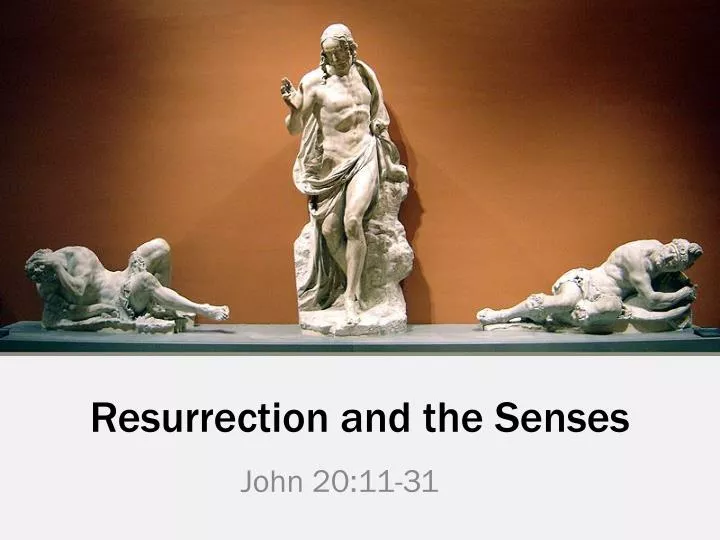 resurrection and the senses n.