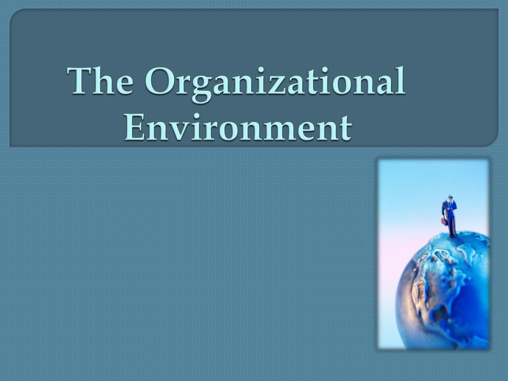 organizational environment essay