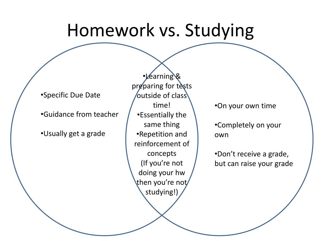 homework vs studying