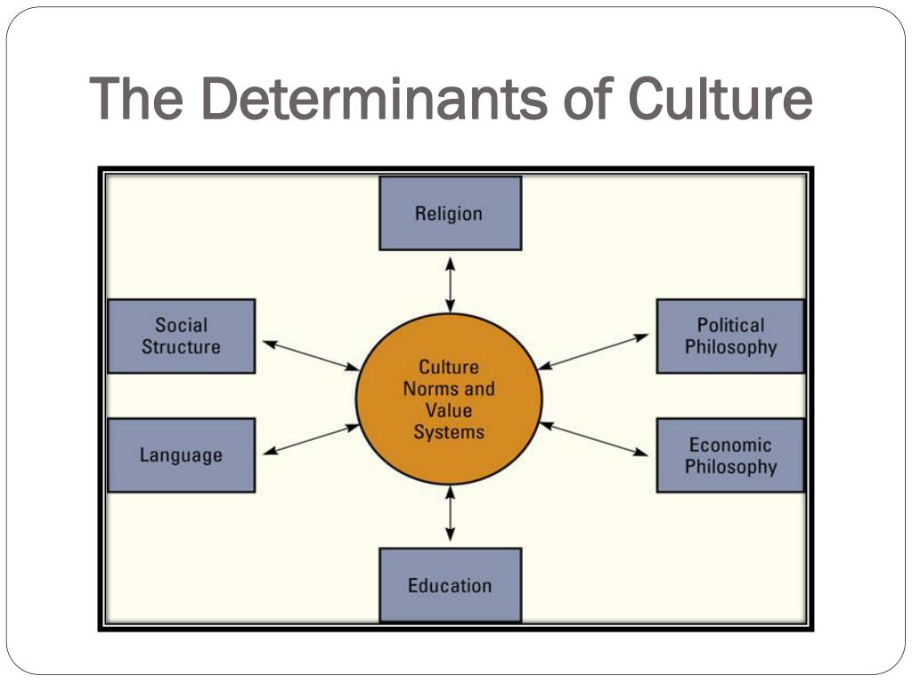 assignment design determinants of culture for a startup