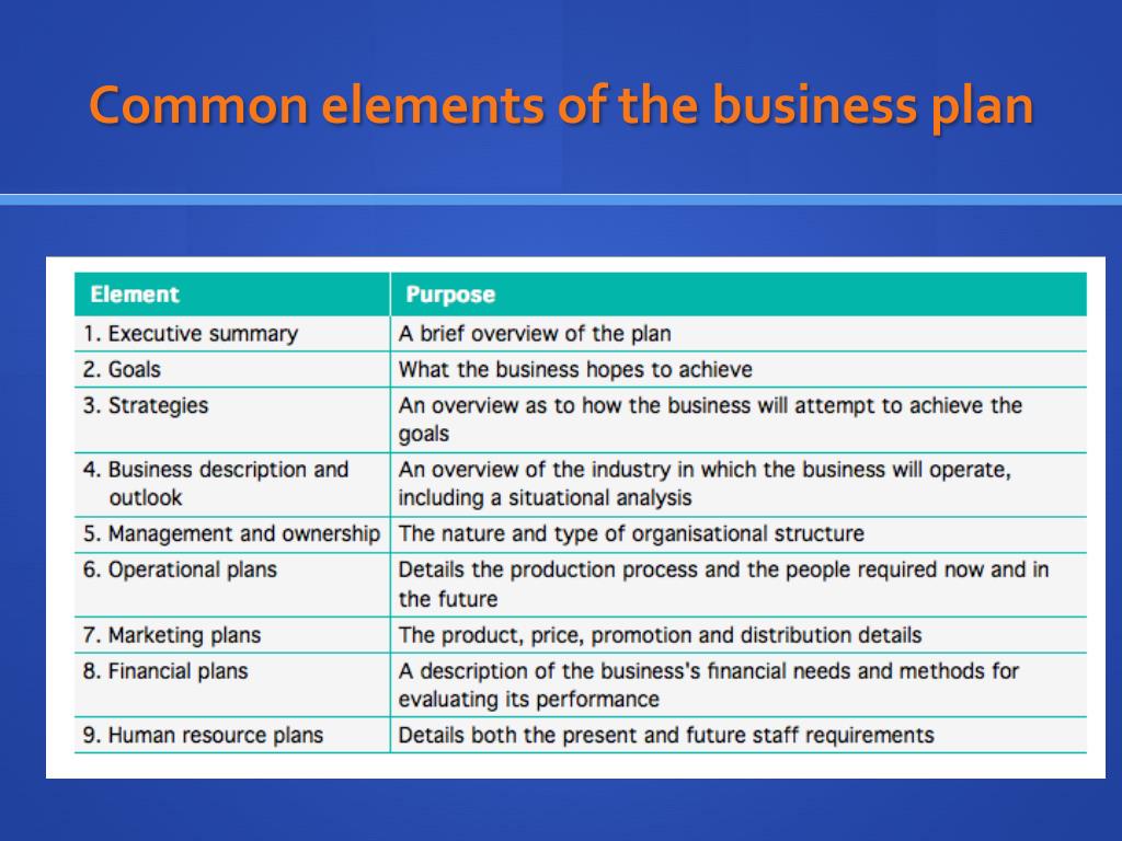 what are the 11 elements of a business plan