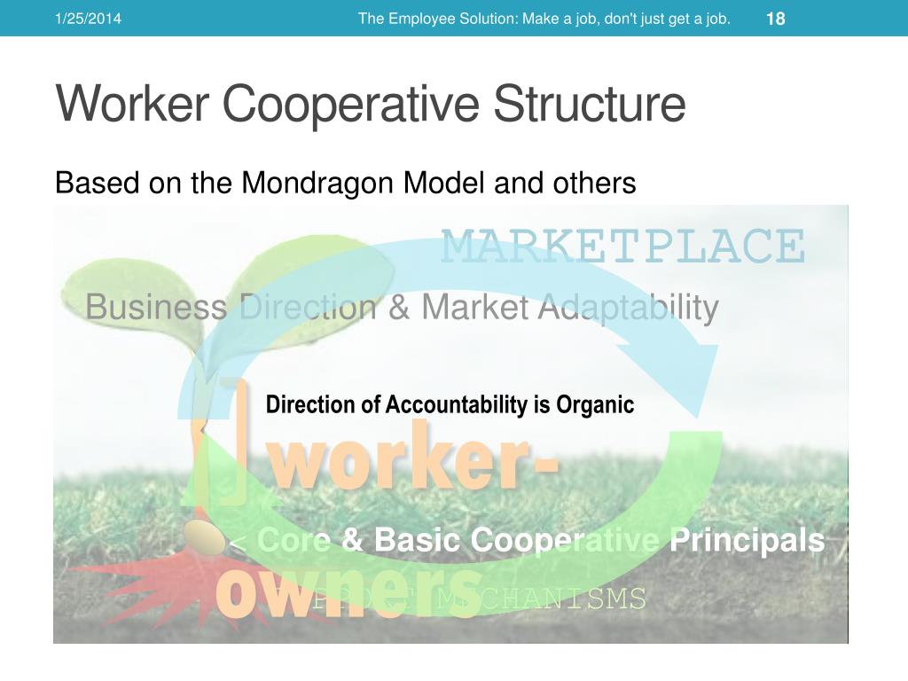 worker cooperative business plan