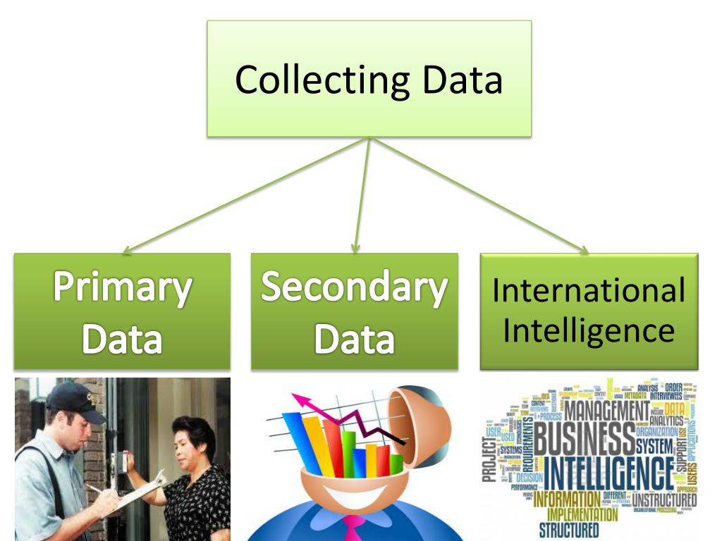 collection organisation and presentation of data ppt