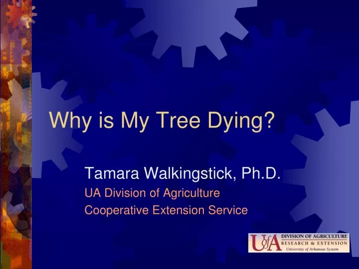 PPT Why is My Tree Dying? PowerPoint Presentation, free download ID1694466