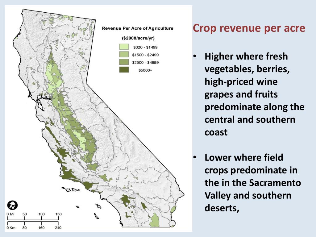 PPT Agriculture, Water and the California Economy PowerPoint
