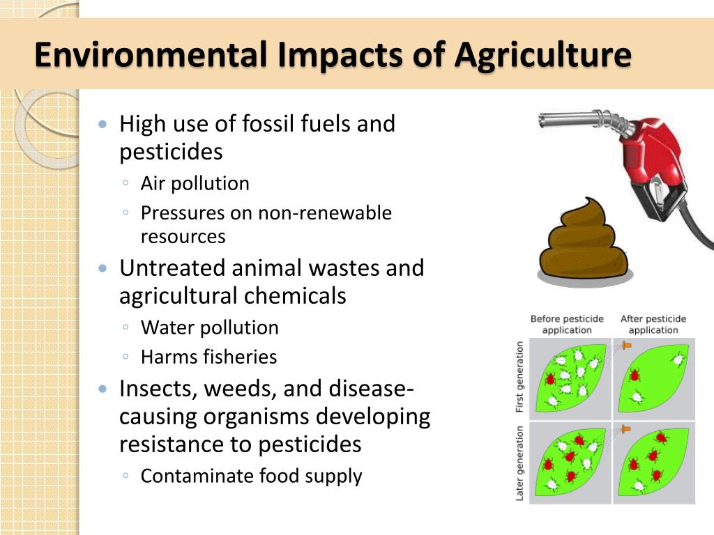 essay on impact of agriculture on environment