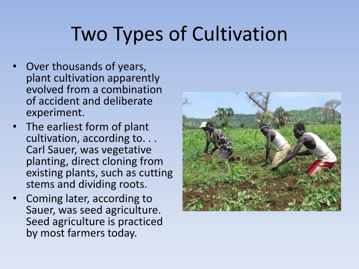 PPT - Origins of Agriculture PowerPoint Presentation - ID:1696121