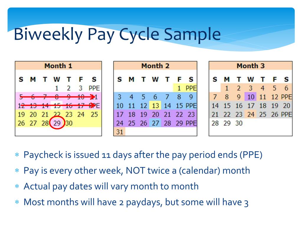 Gsa Pay Periods 2025 Edyth Haleigh
