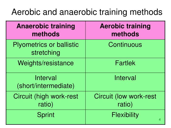 PPT Chronic adaptations to training. PowerPoint Presentation ID1699326