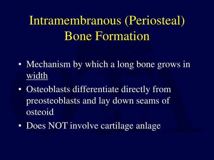 PPT - Biology of Bone Repair PowerPoint Presentation - ID:1701847