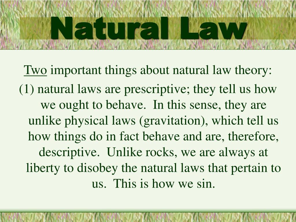 Natural law. Natural Law Theory. Laws of nature examples. Взаимосвязь natural rights и natural Law.