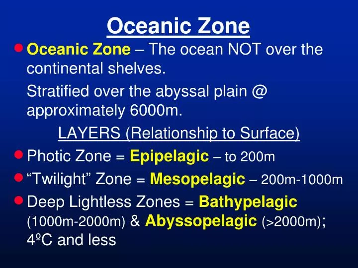oceanic zone n.