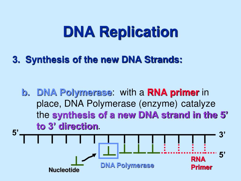 C dna. Список Replication Controllers.