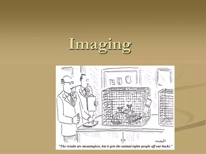 PPT - Imaging PowerPoint Presentation, free download - ID:1703598