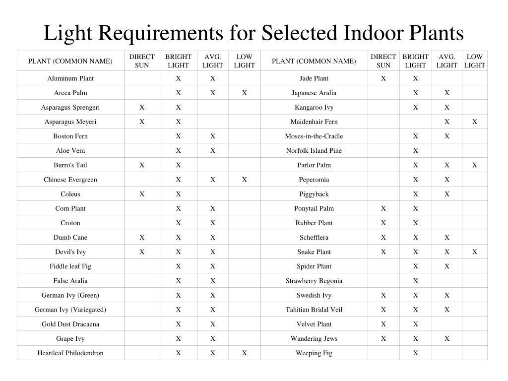 Indoor Lighting Standards Best Design Idea