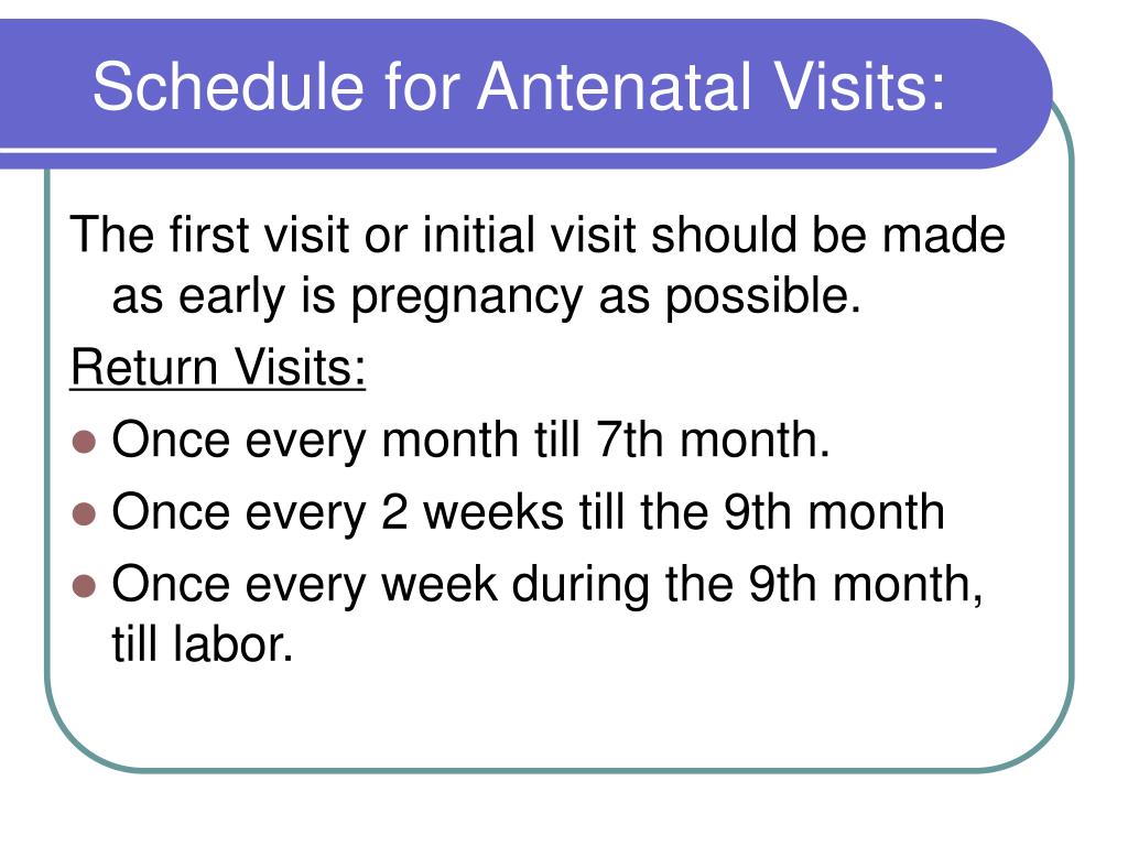 4 antenatal care visits schedule who