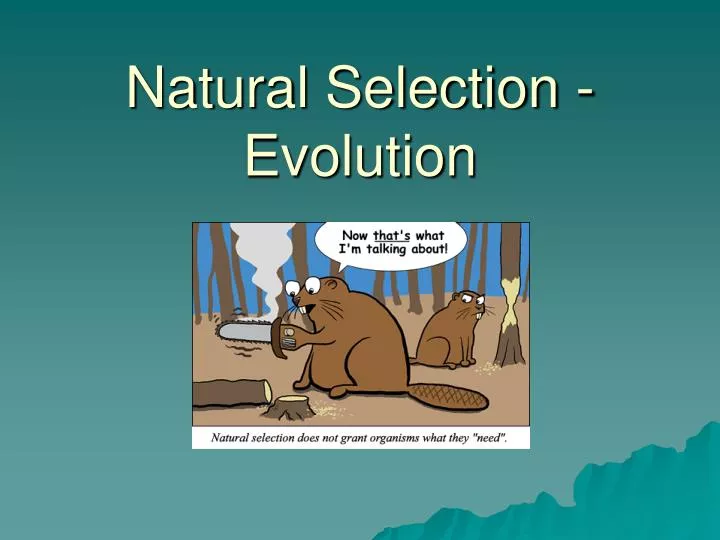 natural selection evolution study guide Chapter 8 evolution and natural selection learning objectives • understand how evolution can be observed in various populations • describe charles darwin’s impact on evolution and the study of biology. natural selection evolution study guide Chapter 8 evolution and natural selection learning objectives • understand how evolution can be observed in various populations • describe charles darwin’s impact on evolution and the study of biology.