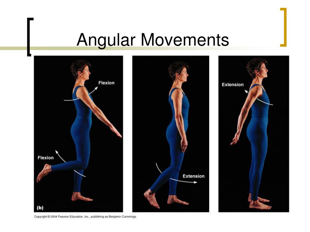 angular body shape