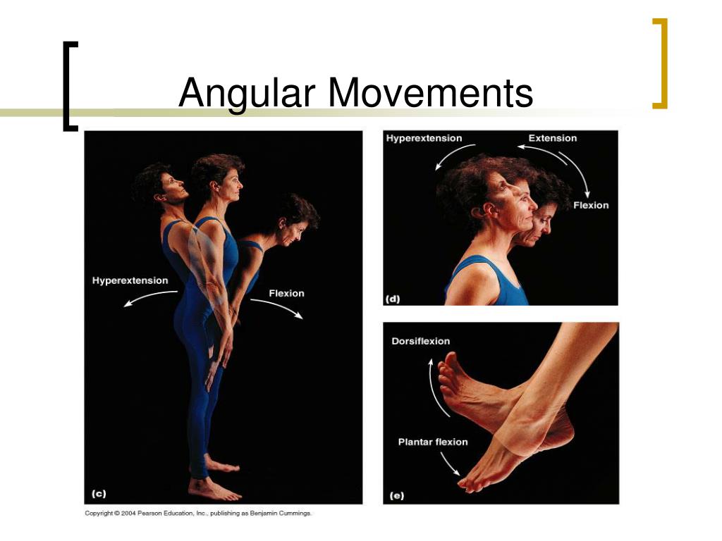 angular body shape