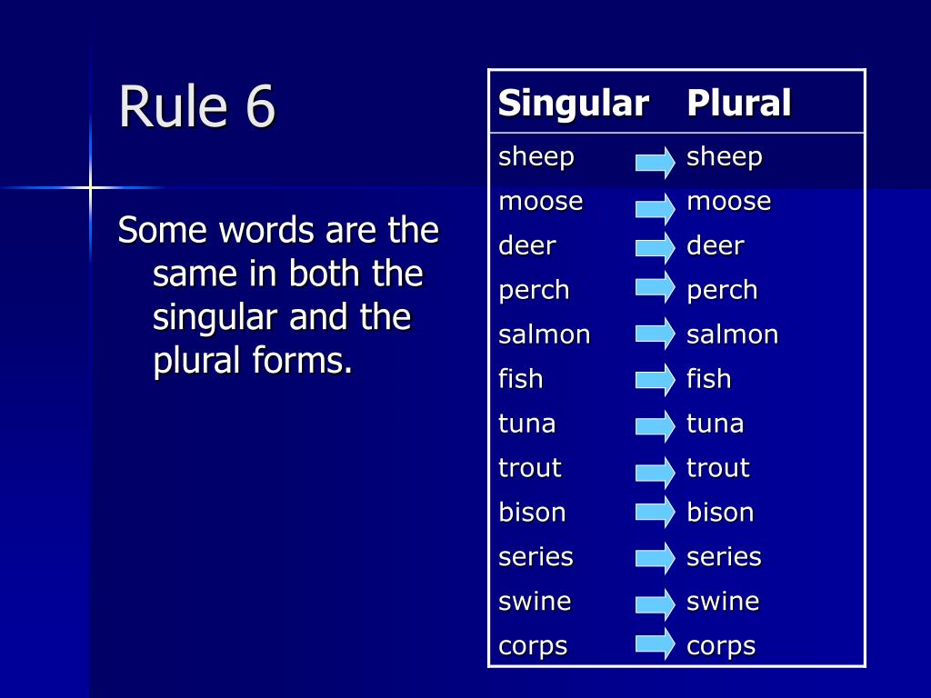 Plural nouns words. Singular and plural forms. Plural forms пример. Series plural form. Plural form тема.