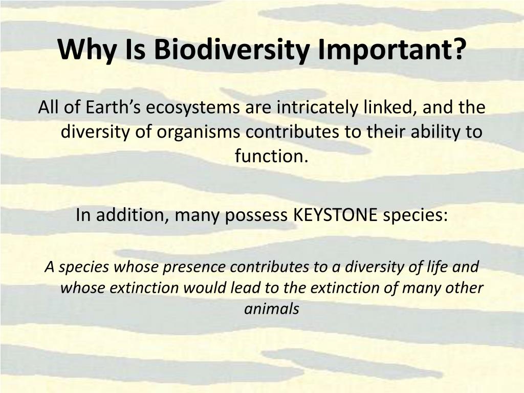 PPT Loss of Animal Biodiversity Why Is It Important and What Can We