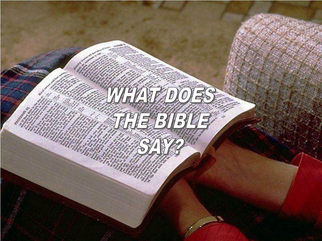 Библию читать будем. Чтение Библии. Человек читает Библию. Чтение Библии на природе. Открытая Библия.