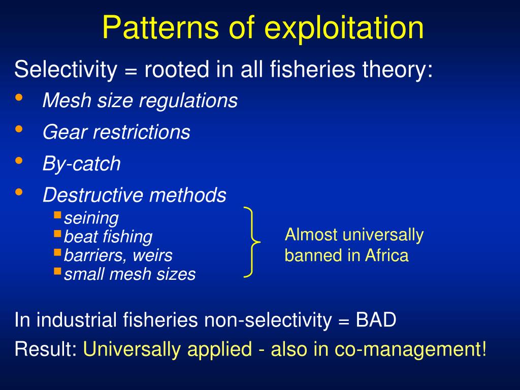 PPT Perspectives and dilemmas for smallscale fisheries management in
