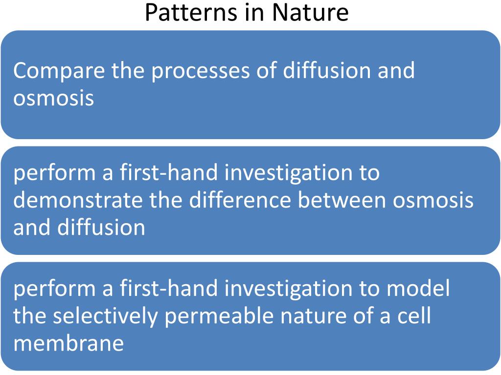 PPT - Patterns in Nature PowerPoint Presentation, free download - ID:1710167