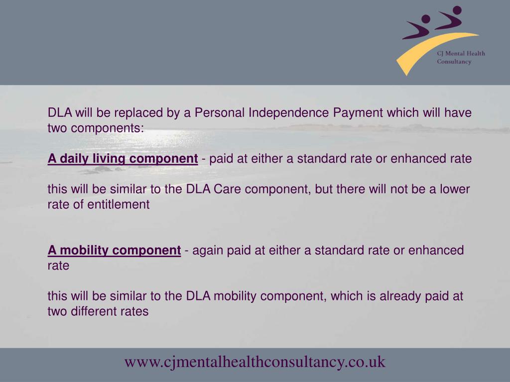 PPT Welfare reform 2011 Chris White CJ Mental Health Constancy March 2011 PowerPoint