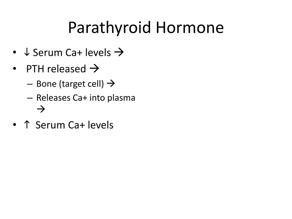 PPT - Endocrine System PowerPoint Presentation - ID:1711838