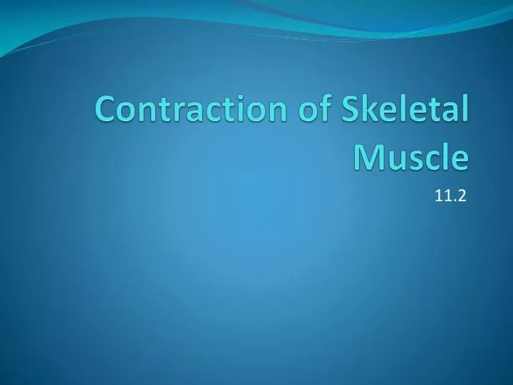 contraction of skeletal muscle n.