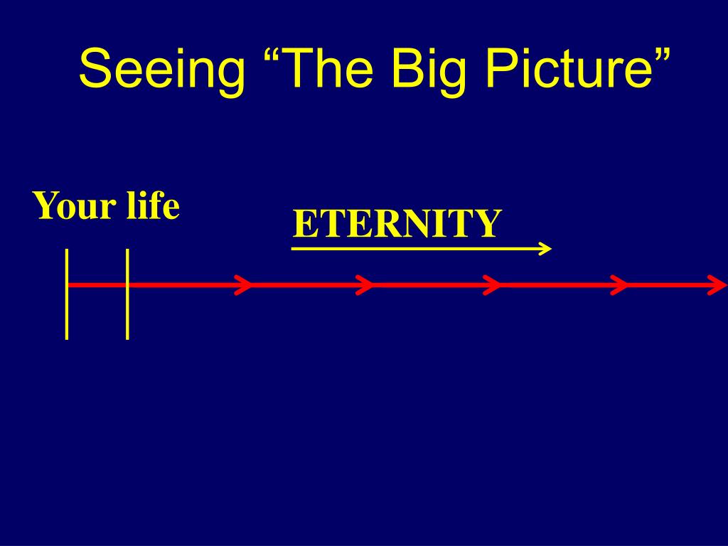 Seeing the big picture