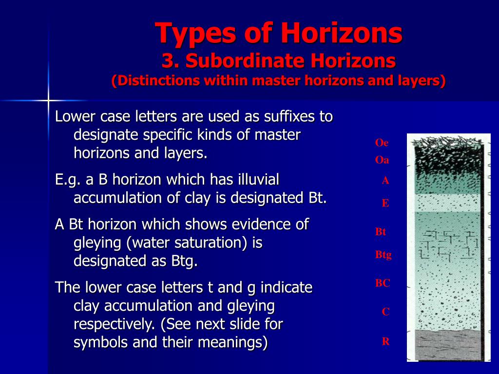 PPT The Soil Profiles And Profile Description (Soil Pits, Road 