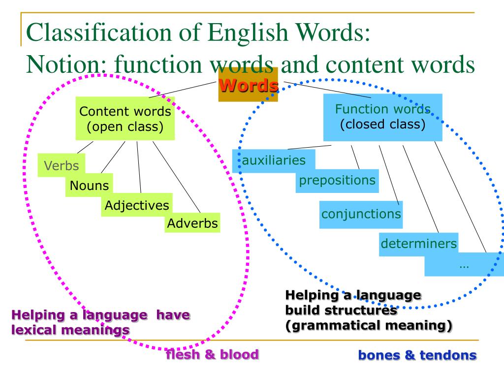 PPT - English Lexicology A General Survey of English Vocabulary ...