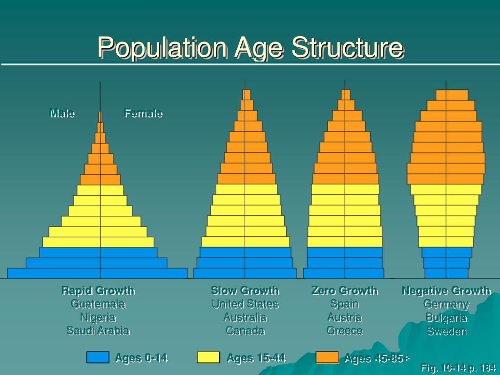 Sentence For Age Structure Diagram Age Structure Diagrams Po